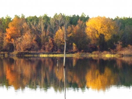 Lake Reflections 2013 - 2013, RICE, LAKE, AUTUMN