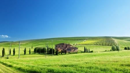 a tuscan farm on a bright summer day - hills, summer, fields, bright, farm, sky