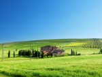 a tuscan farm on a bright summer day