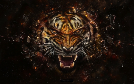 Tiger - animal, scary, glass, tiger