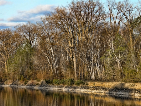 Fall Reflections - reflections, nature, autumn, fall, trees, river