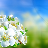 Spring background