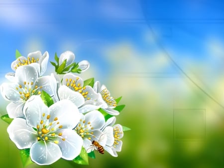 Spring background - blooming, freshness, background, flowering, lovely, spring, pretty, blossoms, photoshop, beautiful