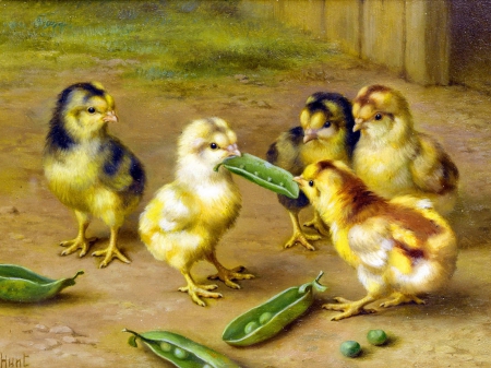 The tug of war - pretty, chicken, war, sweet, playing, tug, funny, bean, painting, cute, friends, adorable, yard, art, animals