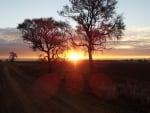 sunset on an australian savanna