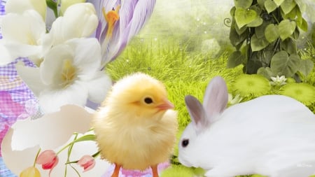 Bunny Chick - chick, tulips, flowers, spring, grass, chicken, easter, rabbit, lilies, bunny