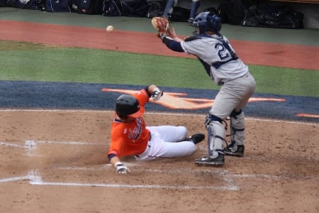 Sliding safe at home plate - virginia, uva, acc, ncaa, caveliers, home plate, baseball, brandon cogswell