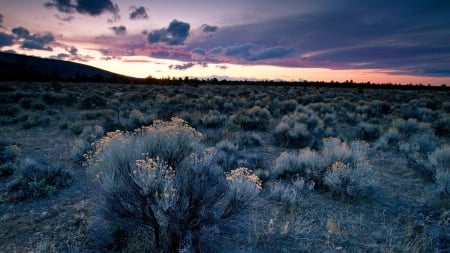 blue grey desert brushes - desert, sunset, brushes, clouds