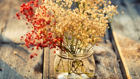 âŠ wild FlowersâŠ - white, wild, day, red, flowers, floor