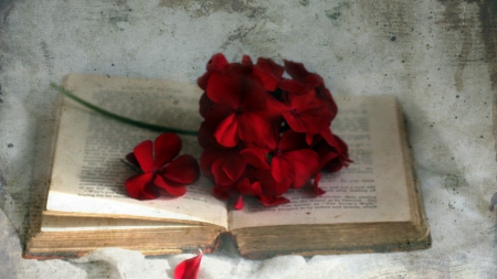 ஐ One good book and red flowersஐ - flowers, a, and, red, book