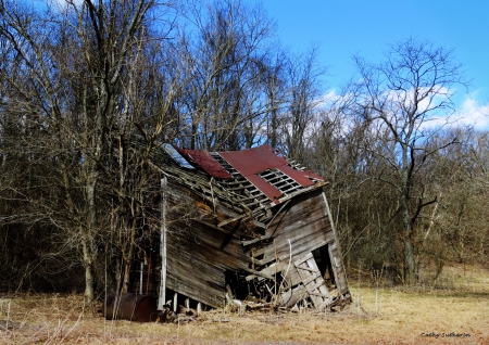 The Shaggy Shack - shed, timber, wooden, architecture, shack, roof, shelter, field, house, barn, nature