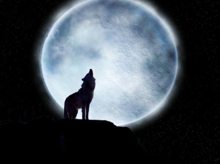 The Howling - moon, night, wolf, howling