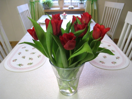 Red Tulips in a Vase - window, red, tulips, table, chairs, vase