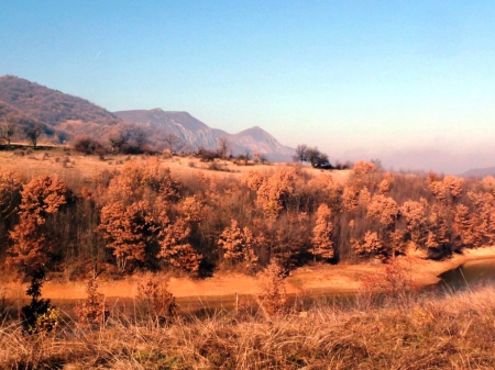 By the river - trees, photography, photo, Bulgaria, mountain, fall, river, nature, autumn, sky