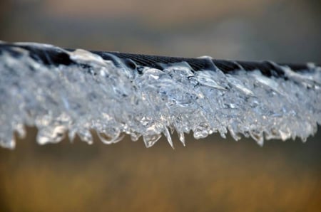 FROZEN - ice, frozen, winter, nature, photography, cold, photo, Bulgaria