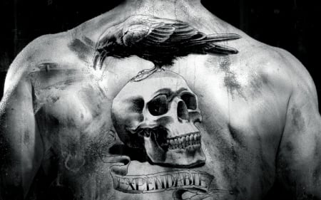 The Expendables - white, crow, tattoo, skull, the expendables, black, bird