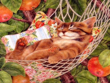 Cozy Place - cat, hammock, artwork, appletree, garden, apples