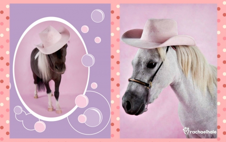 Horses by Rachael Hale (collage) - hat, collage, white, purple, horse, rachael hale, pink, by cehenot, animal, cute