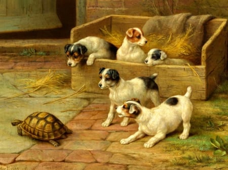 Playing with a stranger - fun, adorable, animals, joy, yard, playing, painting, art, turtle, dogs, friends, sweet, cute, puppies