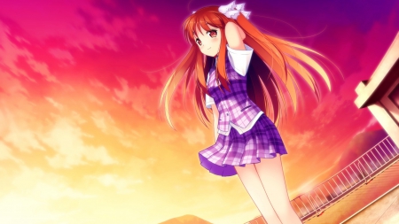 cute girl - pretty, anime, sunset, girl, cute