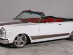 1965_Ford_Galaxie.