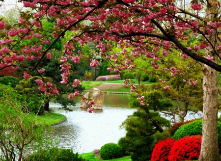 Park in spring - calm, quiet, branches, blossoms, pond, fragrance, spring, freshness, blooming, tree, flowering, scent, serenity, park