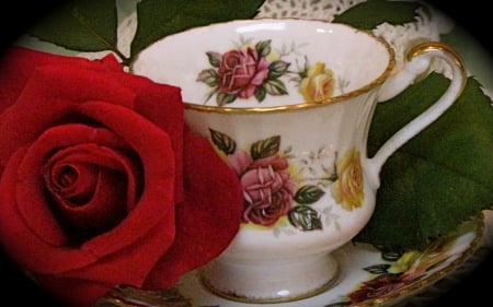 One Red Rose For Tea Party - nature, red, tea, party, flowers, rose, cup