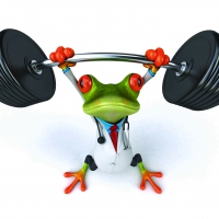 â™¥Funny 3D Frogâ™¥