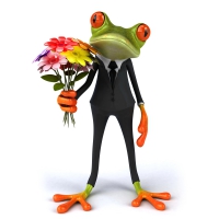 â™¥Funny 3D Frogâ™¥