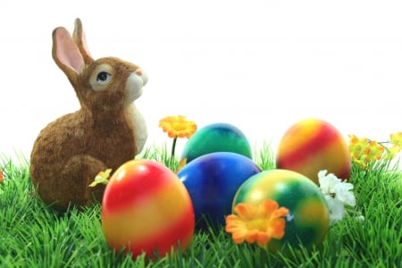 Easter Bunny - easter, bunny, spring, easter bunny, eggs, rabbit, easter eggs, flowers, grass