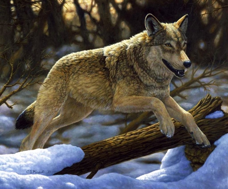 Wolf Running - trees, winter, predator, artwork, snow