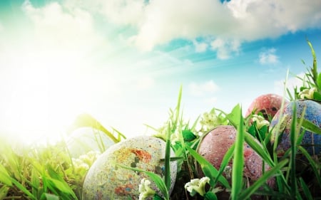 Happy Easter! - blue, spring, grass, flower, pink, easter, white, green, cloud, egg, sky