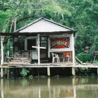 Interesting Swamp Houses