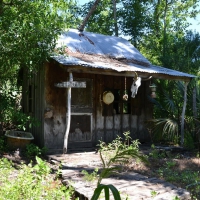 Interesting Houses along the Bayou