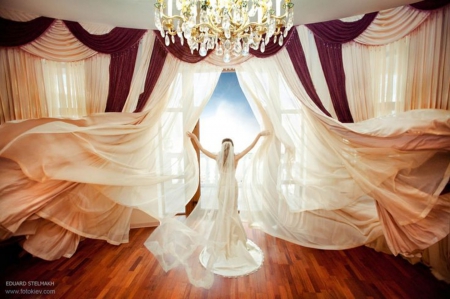 Wedding Story - wedding, beautiful, bride, story, elegant