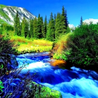 Blue Mountian Stream