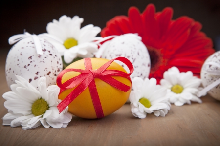 ♥Easter Time♥ - eggs, flowers, easter, camomile, holiday, daisy, spring