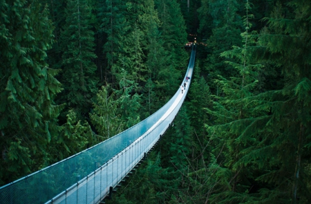 Capilano Suspension Bridge - suspension, mountains, bridge, long