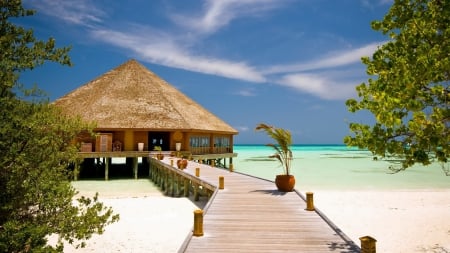 Beach and resort - hut, nature, beach, resort