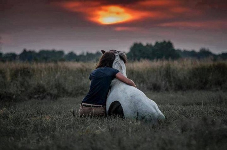 Best Friends - best friends, sunset, girl, horse