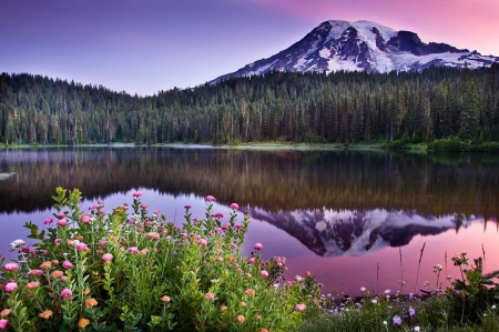 Landscape with mountain and lake - sky, trees, colorful, mirrored, quiet, calmness, lake, landscape, mountain, shore, lovely, serenity, nature, forest, beautiful, flowers, wildflowers