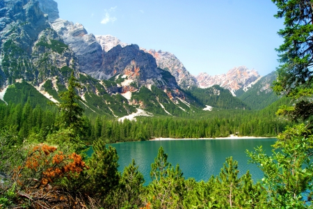 Tranquility - lake, sky, landscape, mountain, trees, shore, peaks, serenity, calm, nature, tranquility, reflection, green, flowers, cliffs