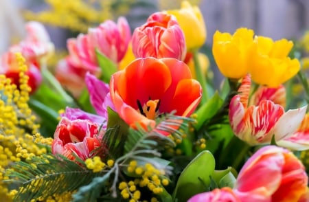 Spring bouquet - freshness, gift, tulips, bouquet, spring, nature, petals, leaves, flowers