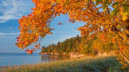 autumn lake shore in michigan - lake, trees, shore, autumn, grass