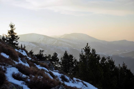 National Park Central Balkan - trees, nature, photography, snow, photo, Bulgaria, mountain, sky