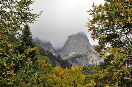 Rilla mountain mist - autumn, mountain, trees, photography, bulgaria, mist, nature, fall, fog, photo