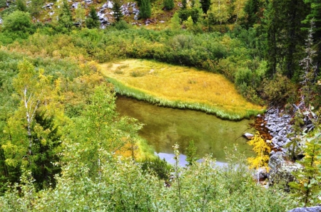 Mountain River - river, trees, nature, green, photography, photo, Bulgaria