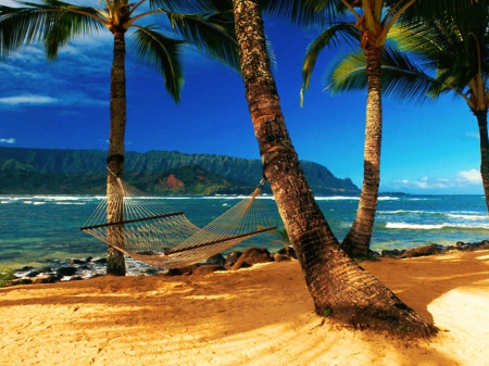 Place to Relax - coastline, palms, water, summer, beach, hammock, waves, sea