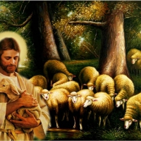 Good shepherd