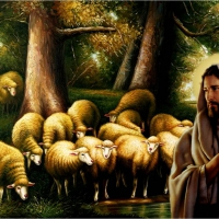 Good shepherd